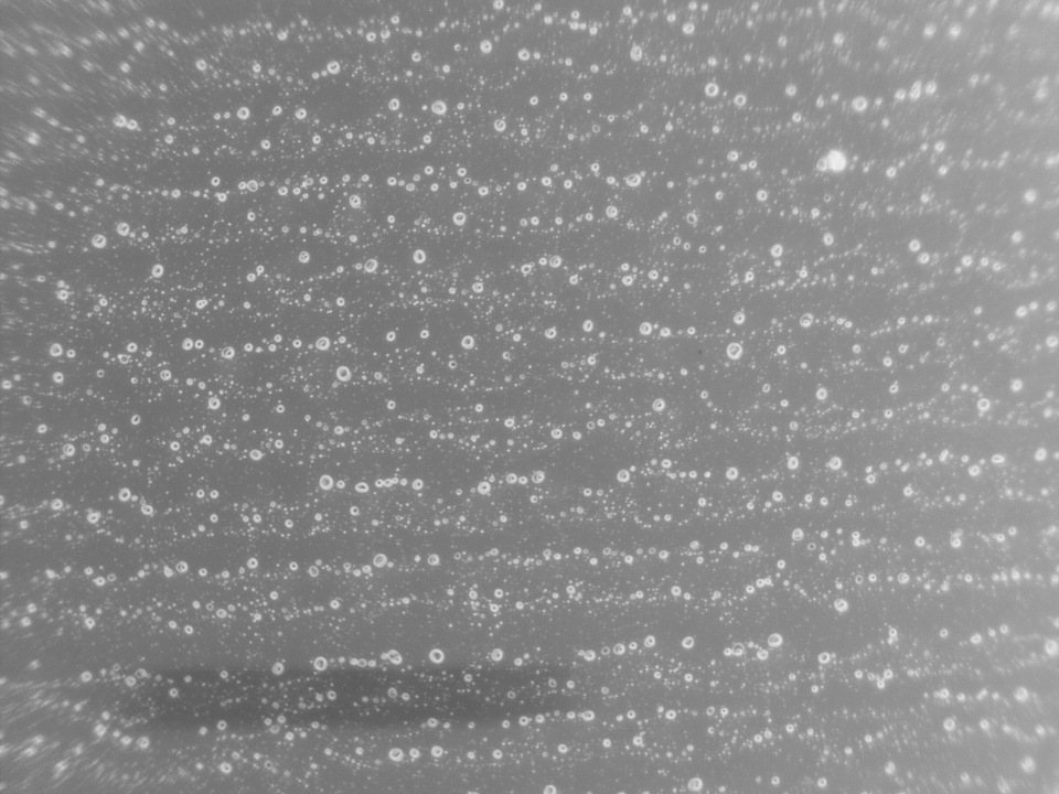 Top-down image of laser-formed porosity after a 1200 degree C soak